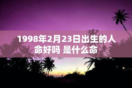 1998年2月23日出生的人命好吗 是什么命