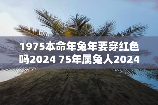 1975本命年蛇年要穿红色吗2025 75年属兔人2025年本命年怎么化解