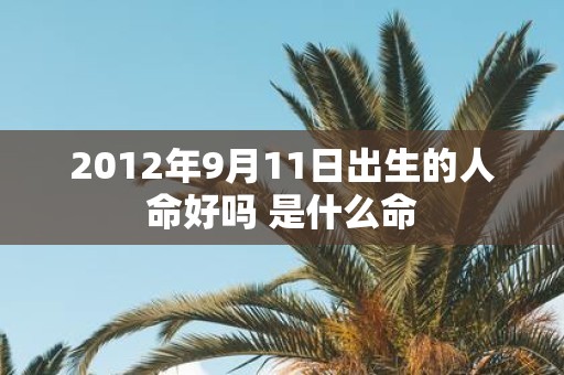 2012年9月11日出生的人命好吗 是什么命