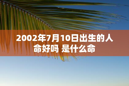 2002年7月10日出生的人命好吗 是什么命