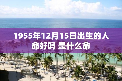 1955年12月15日出生的人命好吗 是什么命