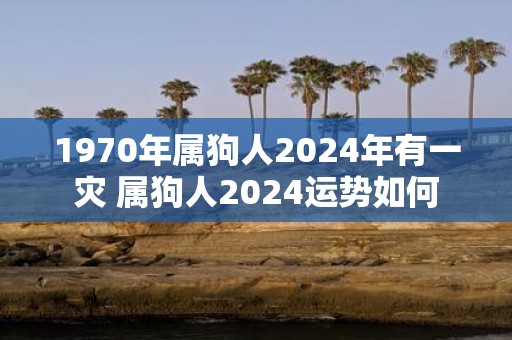 1970年属狗人2025年有一灾 属狗人2025运势如何