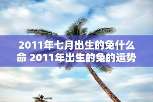 2011年七月出生的兔什么命 2011年出生的兔的运势如何
