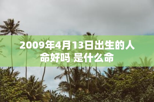 2009年4月13日出生的人命好吗 是什么命
