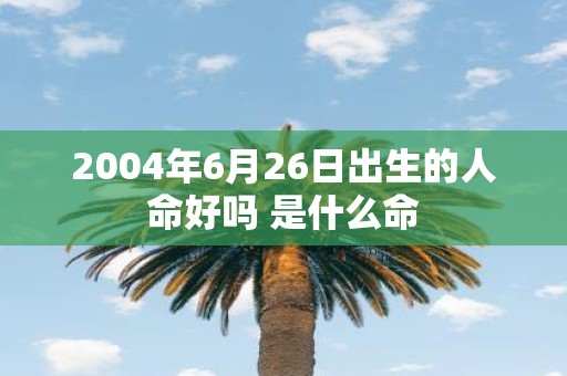 2004年6月26日出生的人命好吗 是什么命
