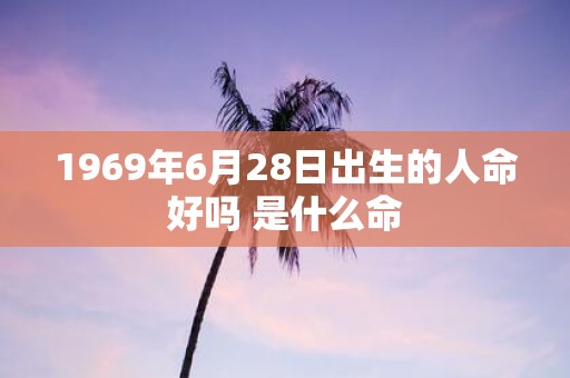 1969年6月28日出生的人命好吗 是什么命