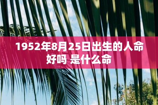 1952年8月25日出生的人命好吗 是什么命