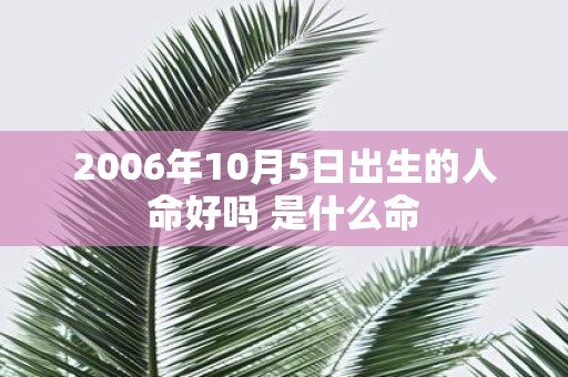2006年10月5日出生的人命好吗 是什么命