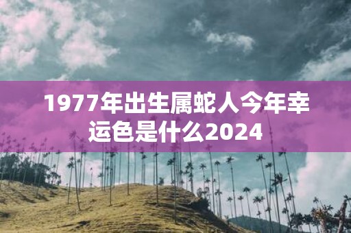 1977年出生属蛇人今年幸运色是什么2025