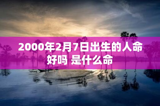 2000年2月7日出生的人命好吗 是什么命
