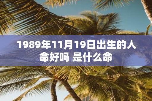 1989年11月19日出生的人命好吗 是什么命