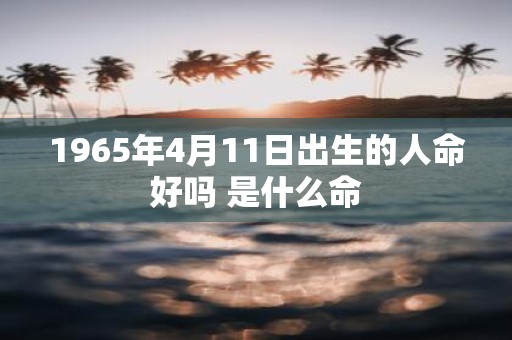 1965年4月11日出生的人命好吗 是什么命