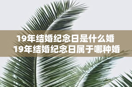 19年结婚纪念日是什么婚 19年结婚纪念日属于哪种婚姻