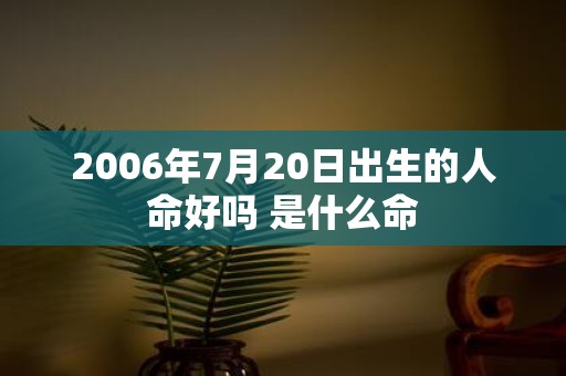 2006年7月20日出生的人命好吗 是什么命