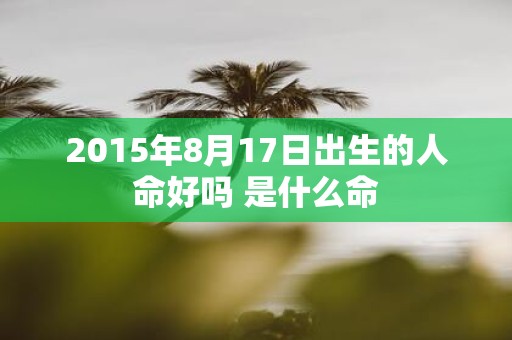 2015年8月17日出生的人命好吗 是什么命