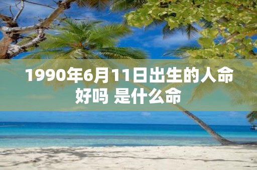 1990年6月11日出生的人命好吗 是什么命