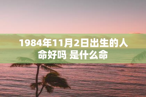 1984年11月2日出生的人命好吗 是什么命