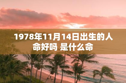1978年11月14日出生的人命好吗 是什么命