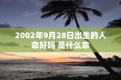 2002年9月28日出生的人命好吗 是什么命