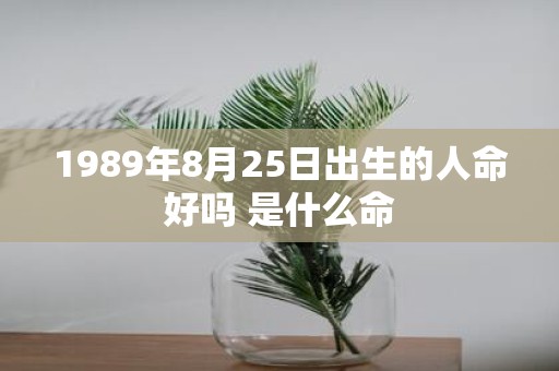 1989年8月25日出生的人命好吗 是什么命