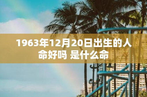 1963年12月20日出生的人命好吗 是什么命