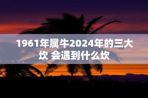 1961年属牛2025年的三大坎 会遇到什么坎