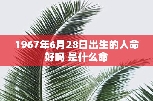 1967年6月28日出生的人命好吗 是什么命
