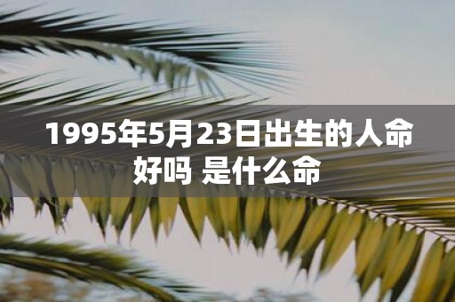 1995年5月23日出生的人命好吗 是什么命
