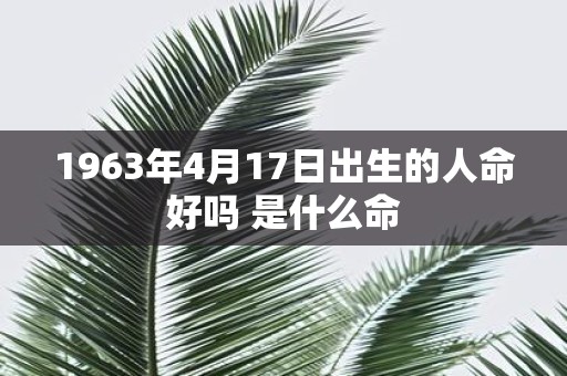1963年4月17日出生的人命好吗 是什么命