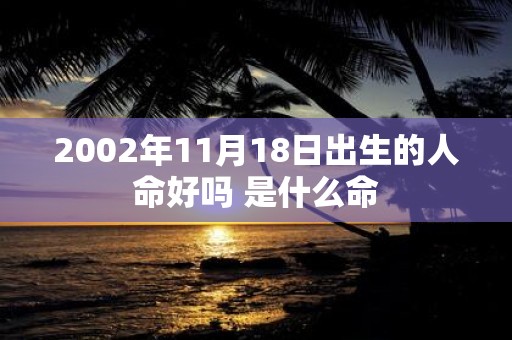 2002年11月18日出生的人命好吗 是什么命