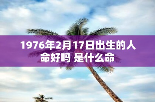 1976年2月17日出生的人命好吗 是什么命