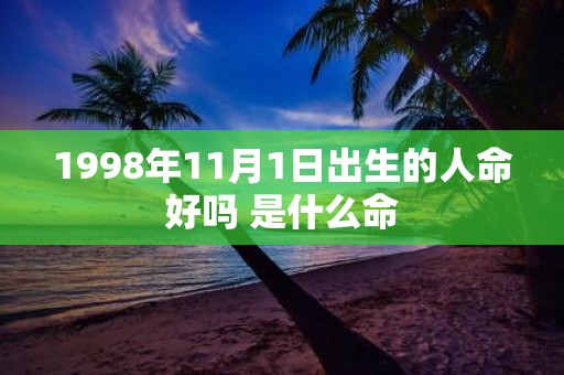 1998年11月1日出生的人命好吗 是什么命