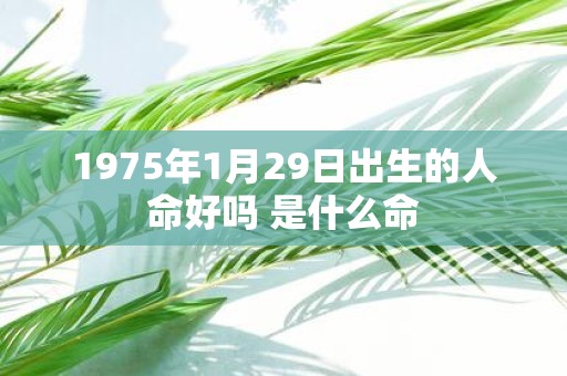 1975年1月29日出生的人命好吗 是什么命