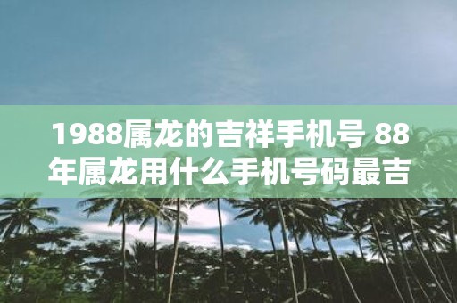 1988属龙的吉祥手机号 88年属龙用什么手机号码最吉利