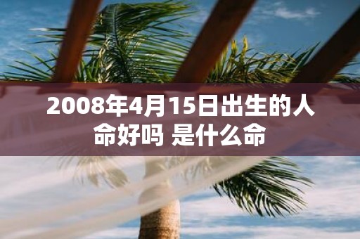 2008年4月15日出生的人命好吗 是什么命