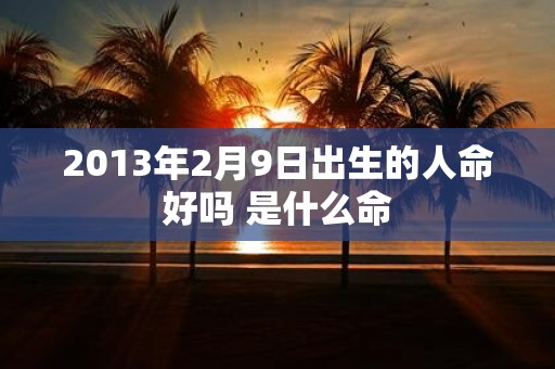 2013年2月9日出生的人命好吗 是什么命