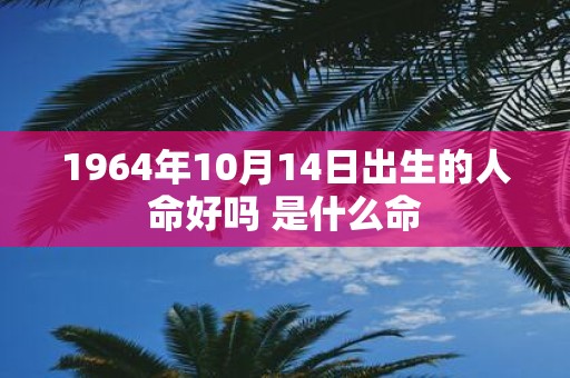 1964年10月14日出生的人命好吗 是什么命