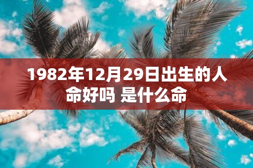 1982年12月29日出生的人命好吗 是什么命