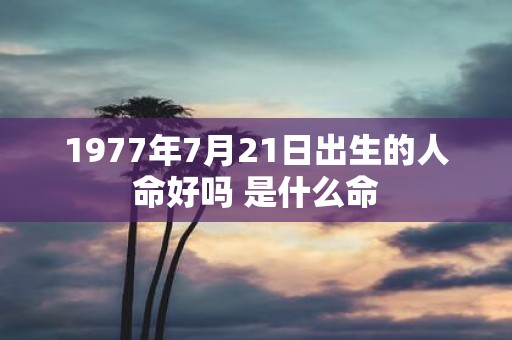 1977年7月21日出生的人命好吗 是什么命