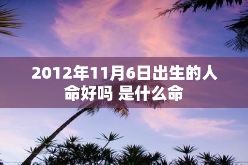 2012年11月6日出生的人命好吗 是什么命