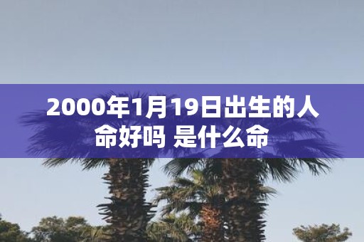 2000年1月19日出生的人命好吗 是什么命
