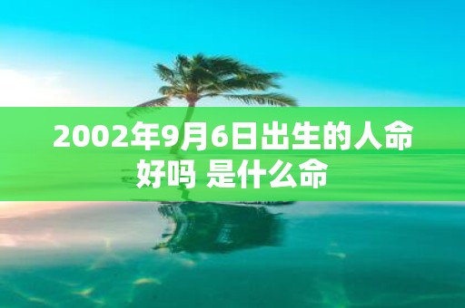 2002年9月6日出生的人命好吗 是什么命