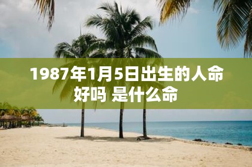1987年1月5日出生的人命好吗 是什么命