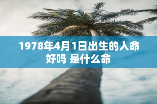 1978年4月1日出生的人命好吗 是什么命