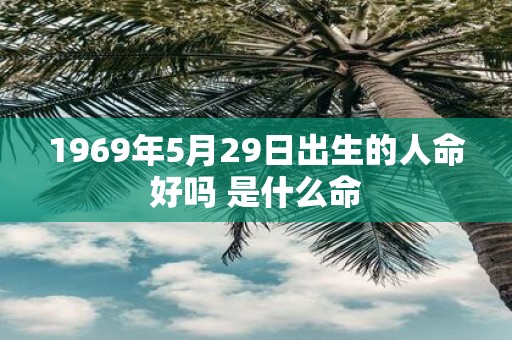 1969年5月29日出生的人命好吗 是什么命