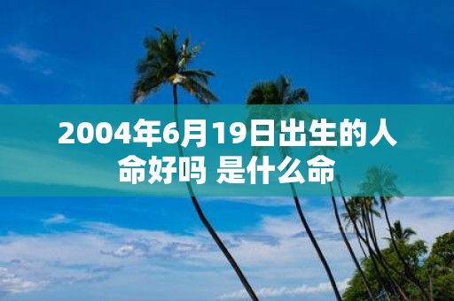 2004年6月19日出生的人命好吗 是什么命