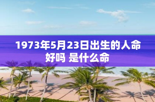 1973年5月23日出生的人命好吗 是什么命