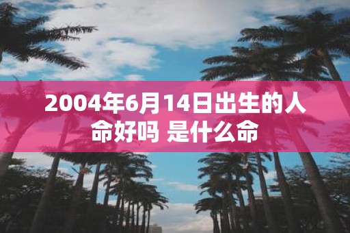 2004年6月14日出生的人命好吗 是什么命