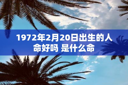 1972年2月20日出生的人命好吗 是什么命
