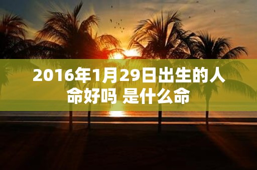 2016年1月29日出生的人命好吗 是什么命